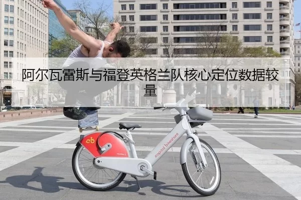 a-er-wa-lei-si-yu-fu-deng-ying-ge-lan-dui-he-xin-ding-wei-shu-ju-jiao-liang-3-431.jpg
